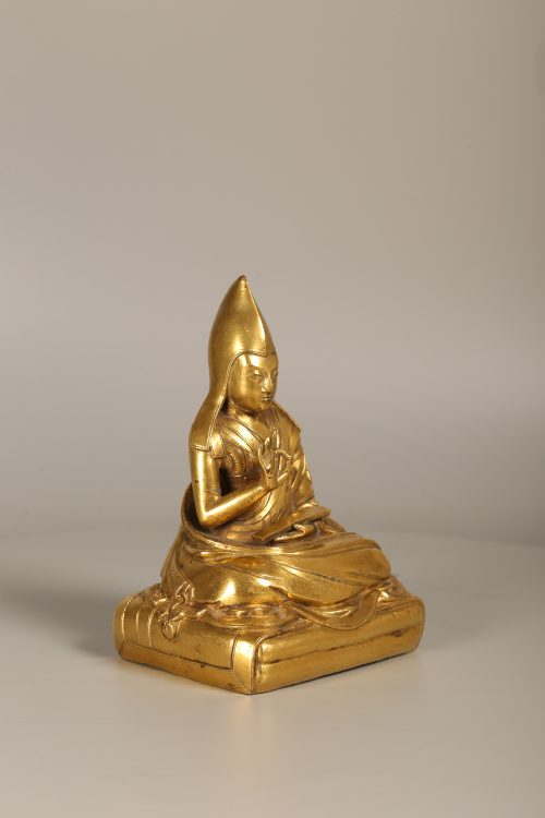 Lama – Image 6