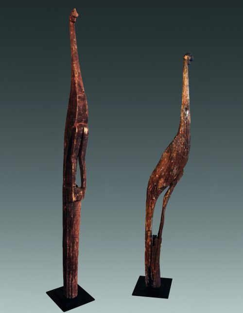 Oiseaux