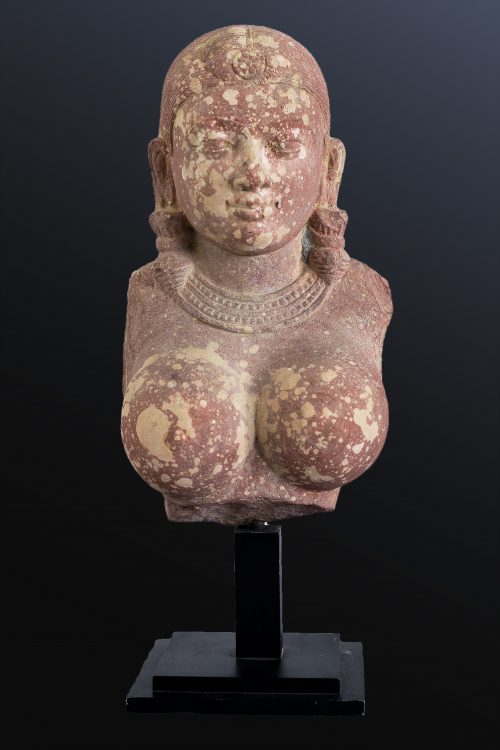 Buste féminin