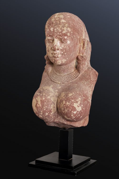 Buste féminin – Image 2