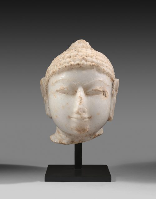 Head of Jina