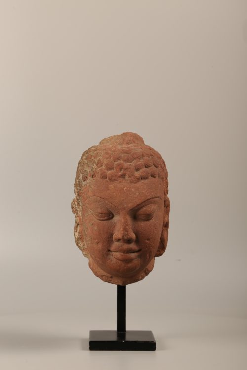 Tête de Buddha Gupta