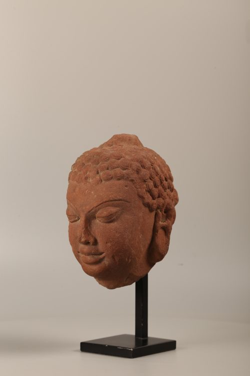 Tête de Buddha Gupta – Image 2