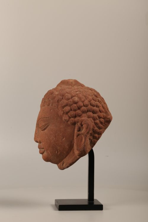Tête de Buddha Gupta – Image 3