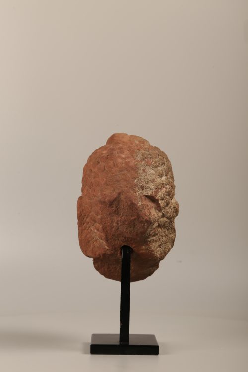 Tête de Buddha Gupta – Image 4
