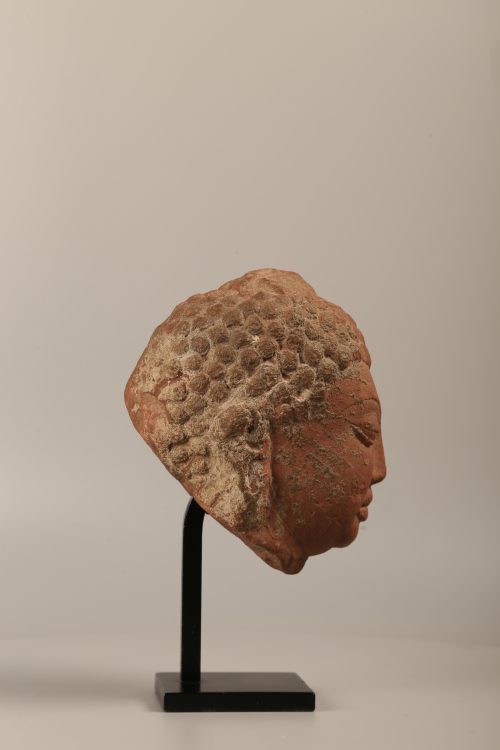 Tête de Buddha Gupta – Image 5