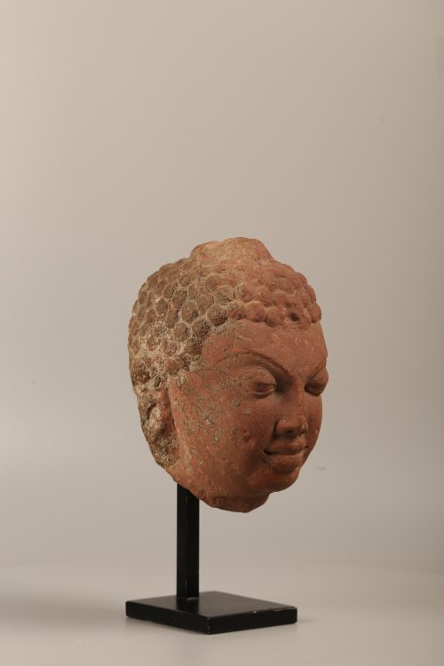 Tête de Buddha Gupta – Image 6