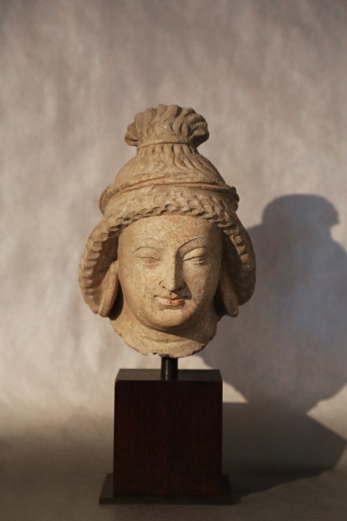 Tête de donateur