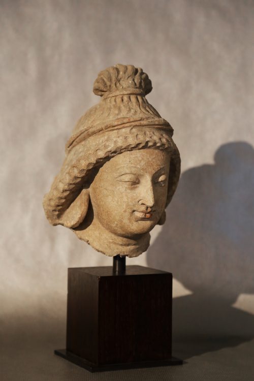 Tête de donateur – Image 2