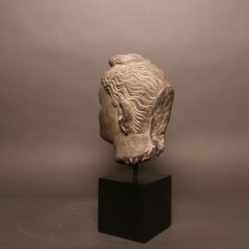 Tête de Buddha – Image 7