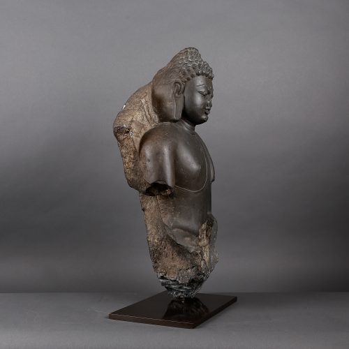 Buste du Buddha Śākyamuni – Image 6