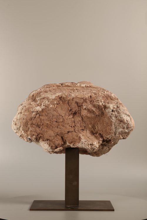 Tête monumentale de Dvārapāla – Image 4
