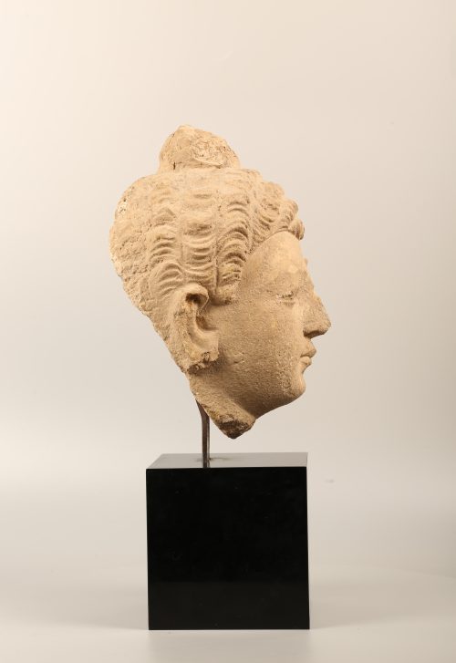 Tête de Buddha en stuc – Image 5