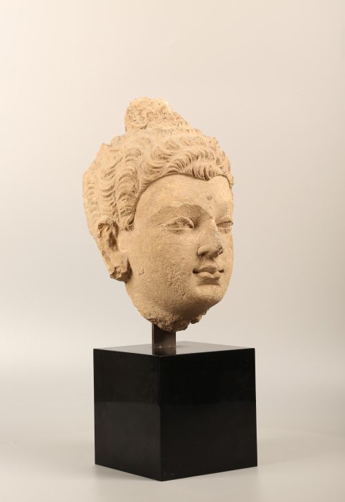 Tête de Buddha en stuc – Image 6