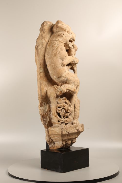 Vyala – Image 2