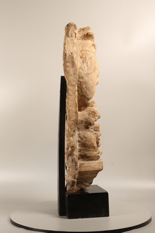 Vyala – Image 3