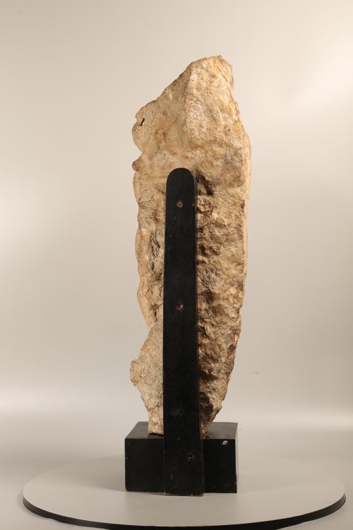Vyala – Image 6
