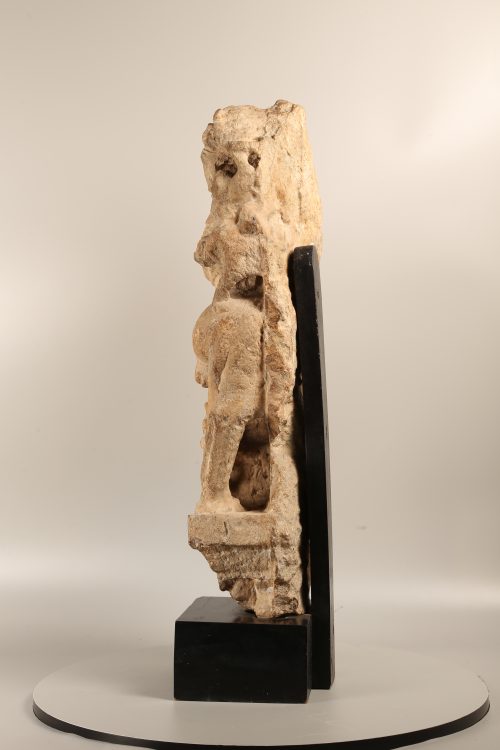 Vyala – Image 5