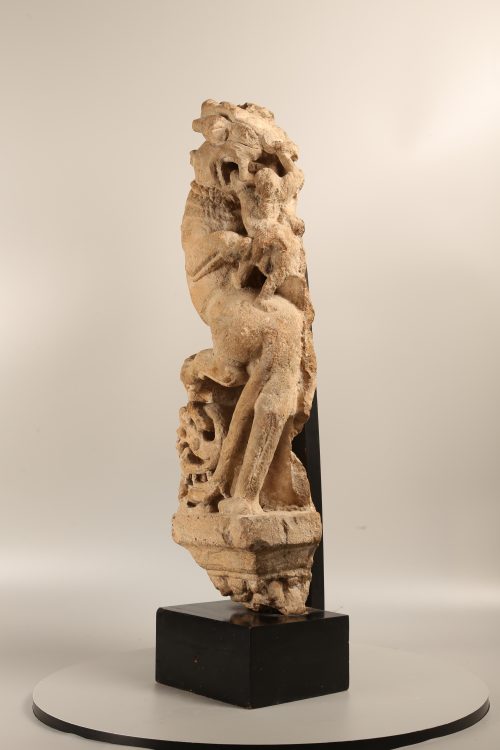 Vyala – Image 4