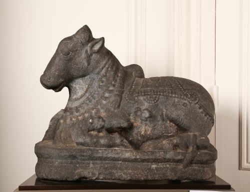 Taureau Nandi