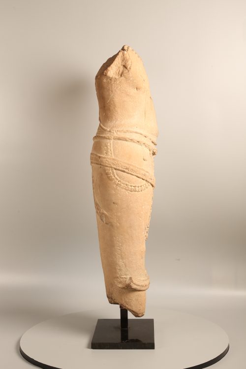 Torse de Visnu – Image 4