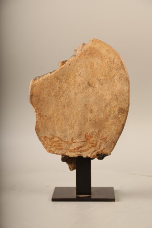 Tête de Sūrya – Image 5