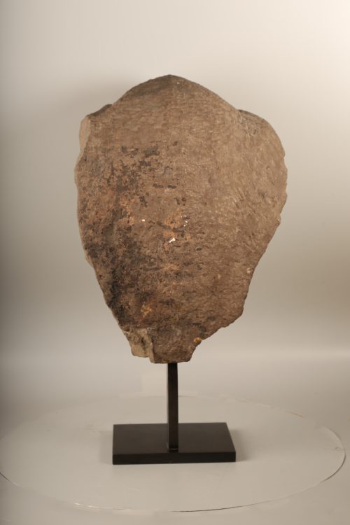 Tête de Buddha Muchalinda – Image 3