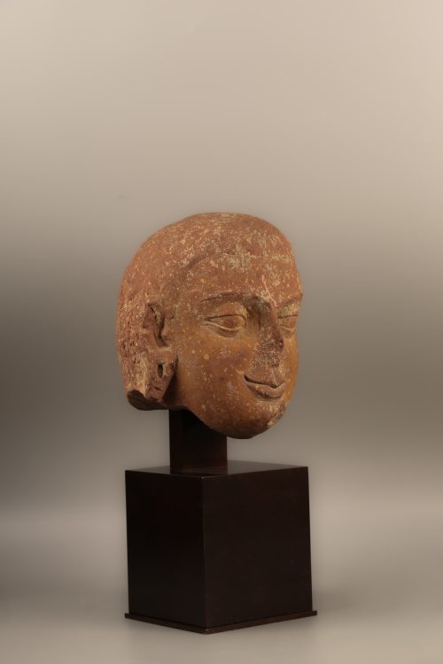 Buddha Head - Image 3