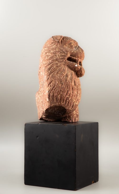 Tête de lion – Image 3