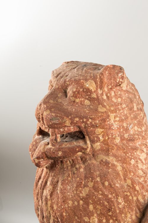 Tête de lion – Image 5