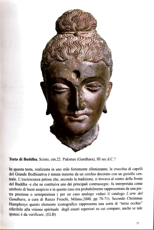 Tête de Buddha - Image 4